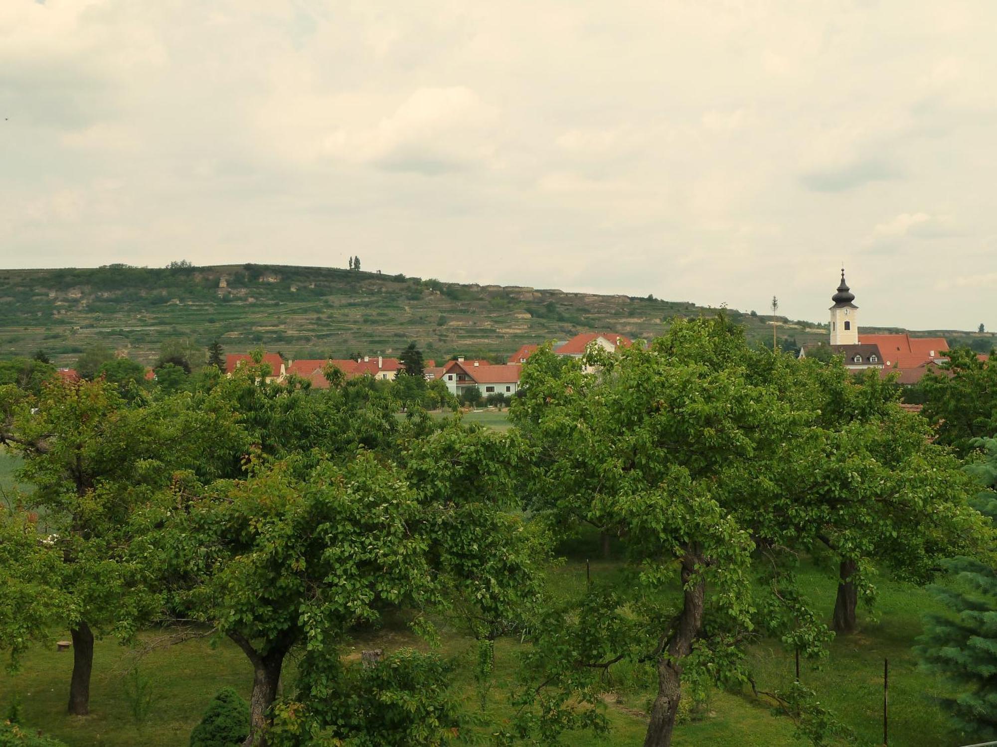 Ferienwohnung Weinbergblick Rohrendorf bei Krems Exterior photo