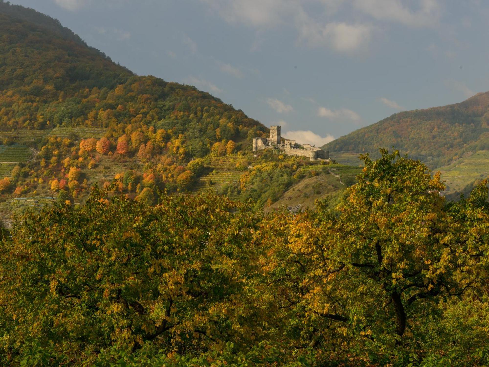 Ferienwohnung Weinbergblick Rohrendorf bei Krems Exterior photo