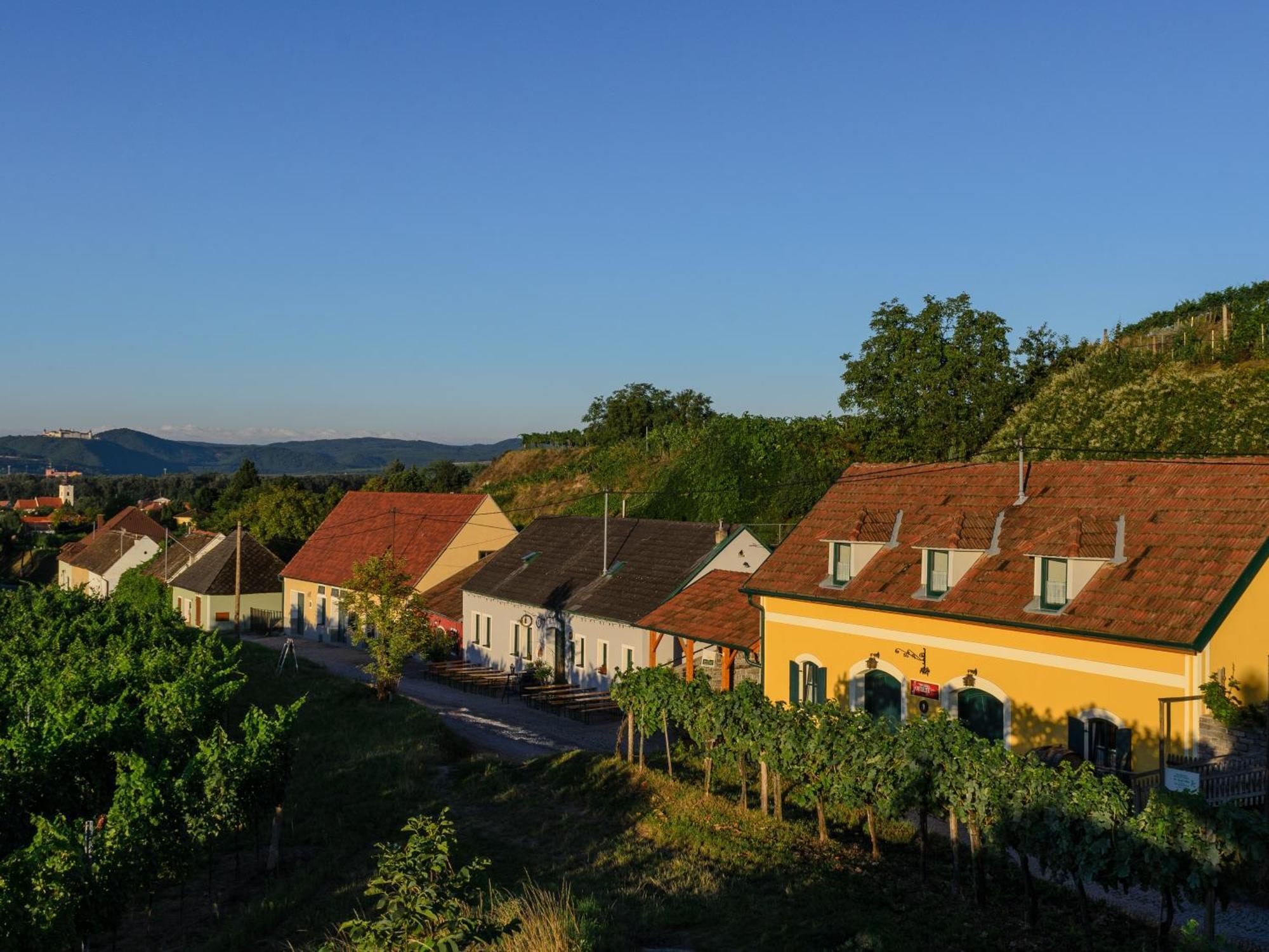 Ferienwohnung Weinbergblick Rohrendorf bei Krems Exterior photo